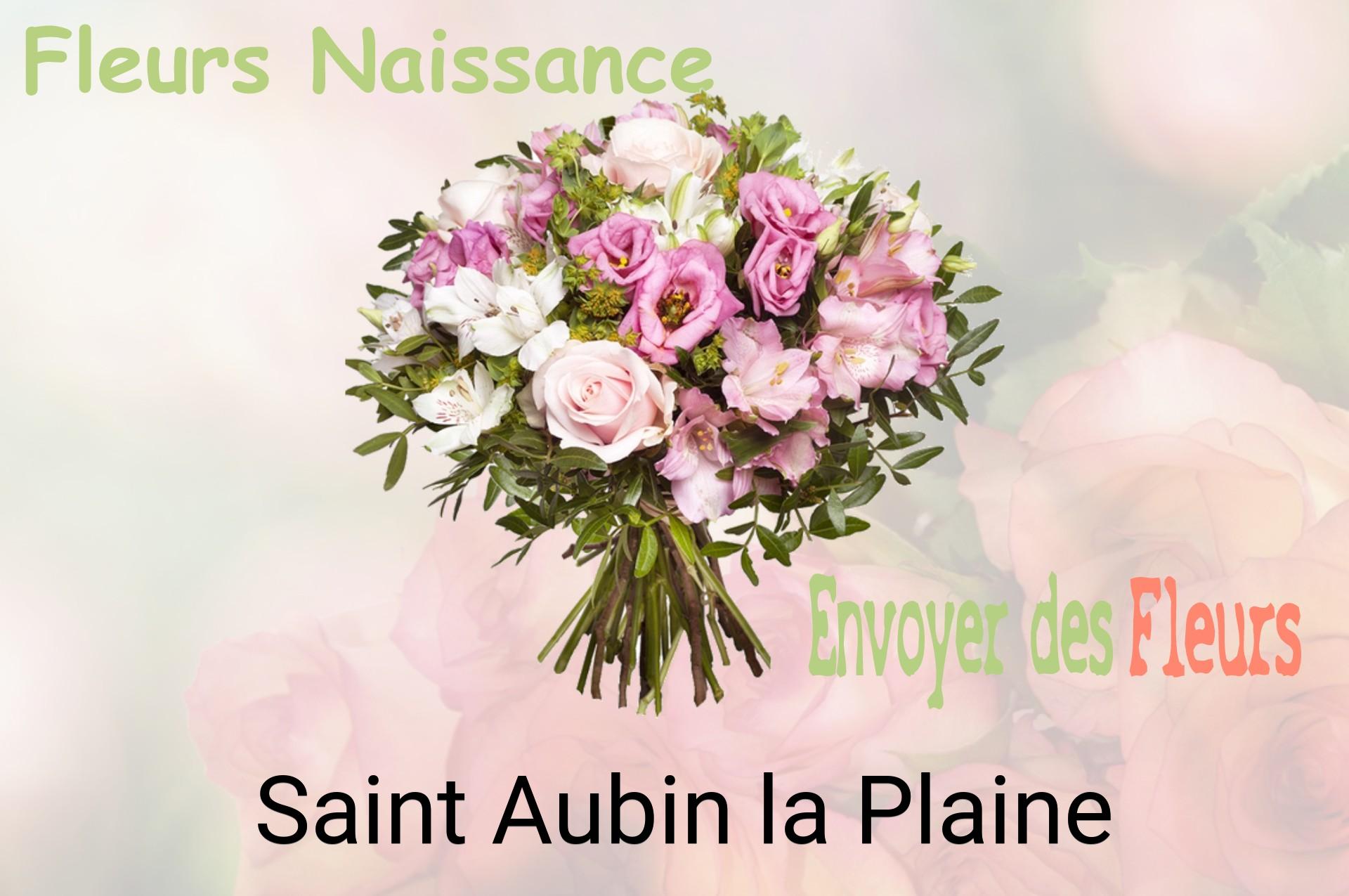 Bouquet de fleurs de naissance livré à Saint-Aubin-la-Plaine